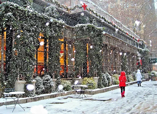 Rented by Corcoran | media 23