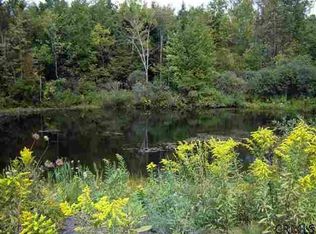 5 Watertrough Rd, Berne, NY 12023