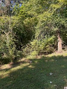 436 Berger Rd, Paducah, KY, 42003