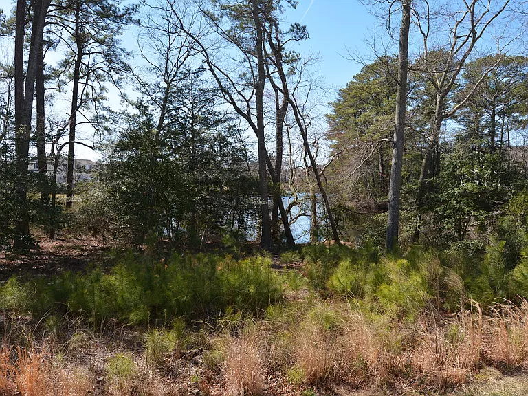 37530 Worcester Dr — Photo 34