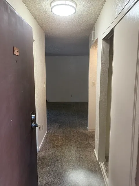 4332 Pacific Ave-Unit 37 - - — Photo 3