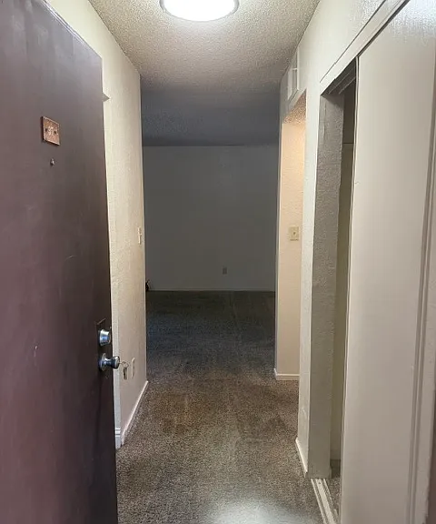 4332 Pacific Ave #37 — Photo 3