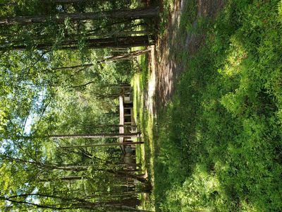 7641 Motts Pl, Glen Saint Mary, FL, 32040