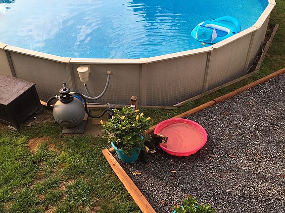 Pool in the summer