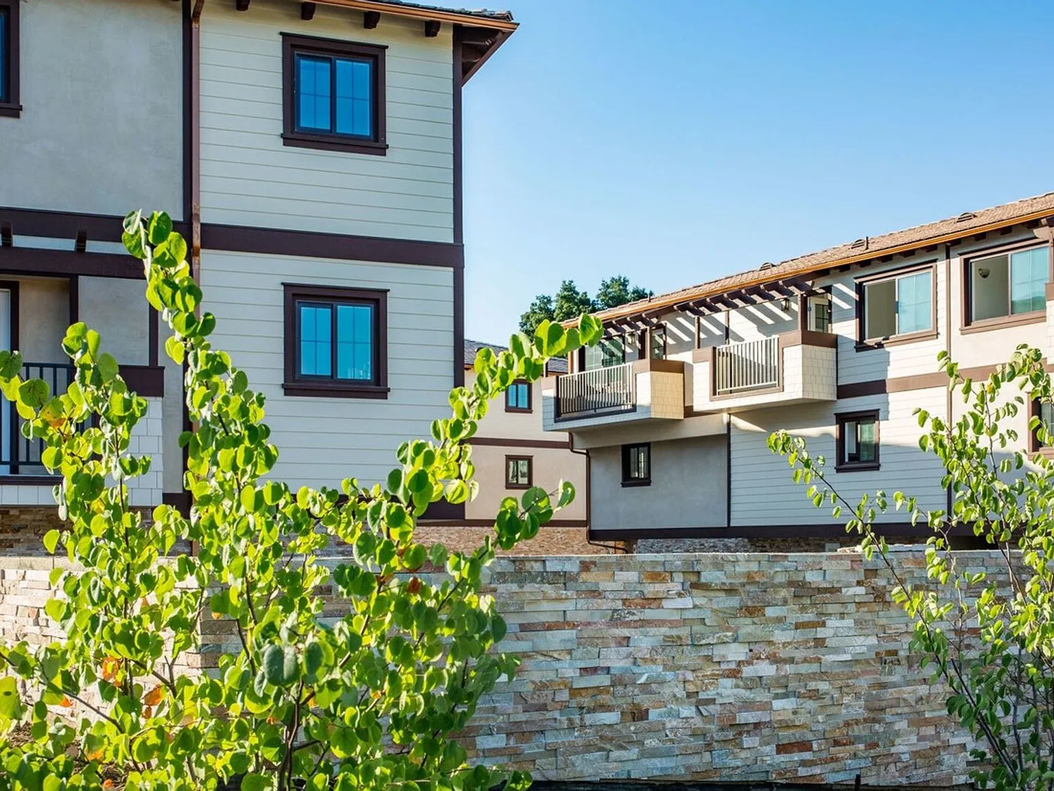 Chesebro Luxury Townhouses — Photo 3