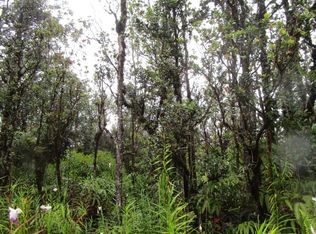 Alapua St, Mountain View, HI 96771