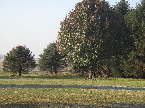 4th image of 2301 E County Road 1350 N