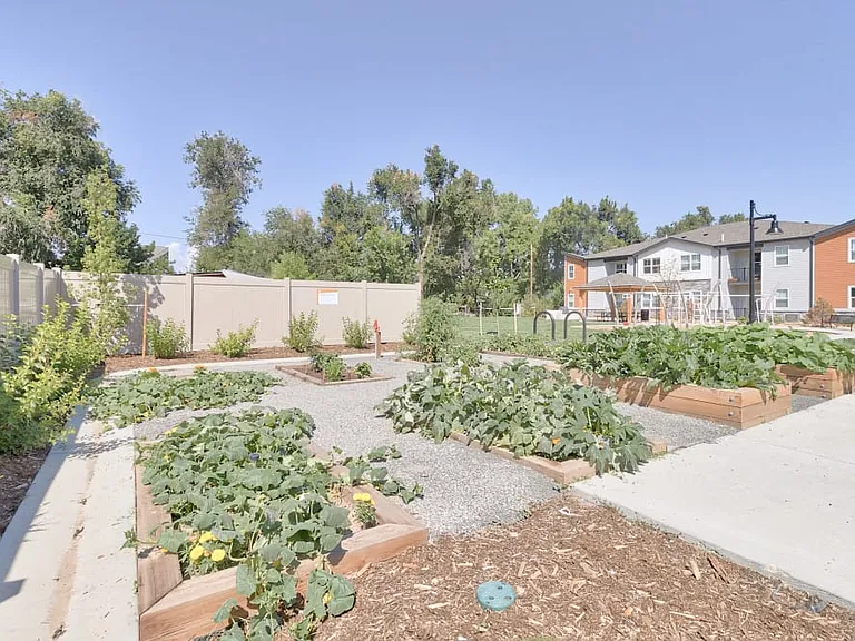 Fields on 15th — Photo 20