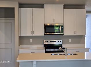 32482 Limitless Pl, Wesley Chapel, FL 33545