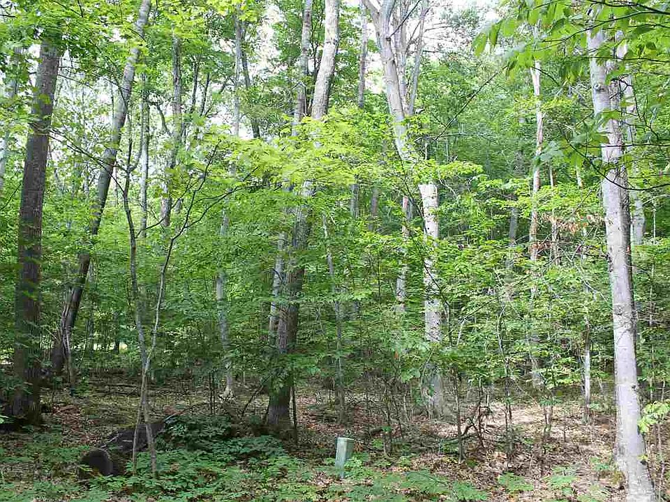 2nd image of 5411 Lower Shore Dr