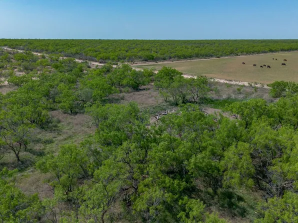 13388 County Road 1445, Paint Rock, TX 76866