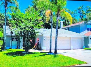 13040 Royal George Ave, Odessa, FL 33556