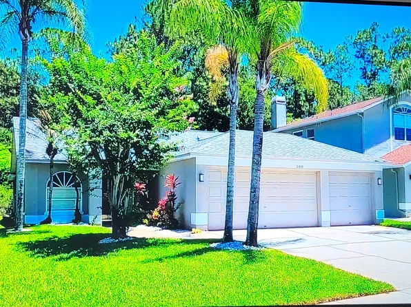 13040 Royal George Ave, Odessa, FL 33556