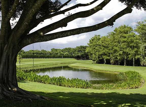 4th image of 4733 Carlton Golf Dr