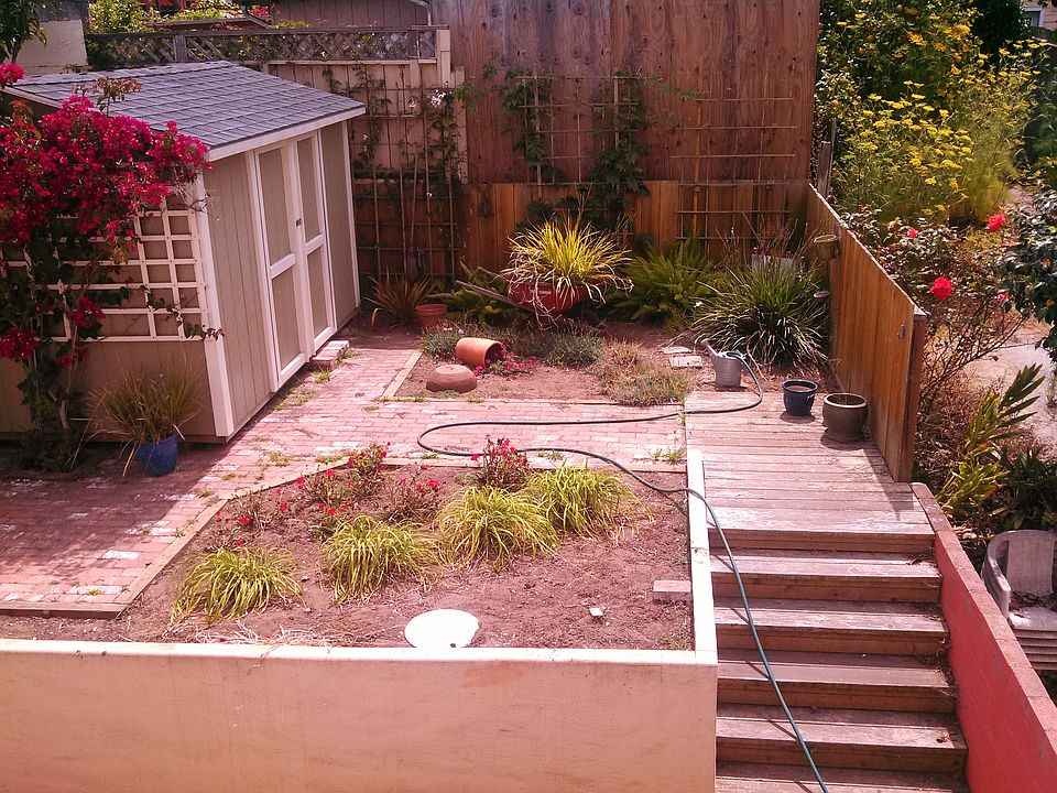 backyard/ shed