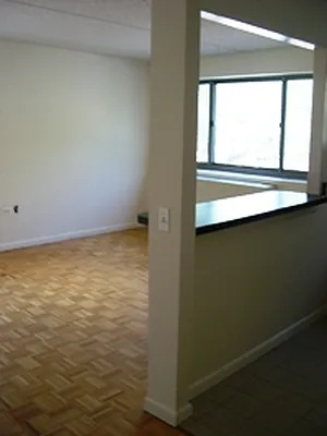 Rented by Lisa Management | media 28