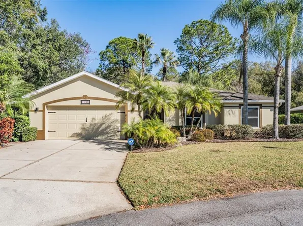 10133 Collar Dr, San Antonio, FL 33576