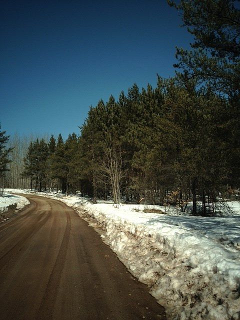 1st image of ON Forest Service Road 431
