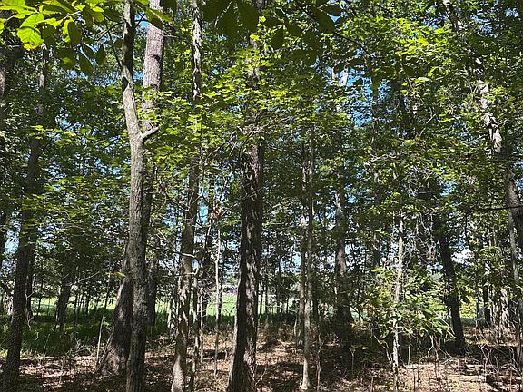 5th image of LOT 13 Hickory Hollow Sub Rd Lot 13
