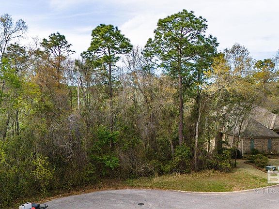 4th image of 120 McIntosh Bluff Rd