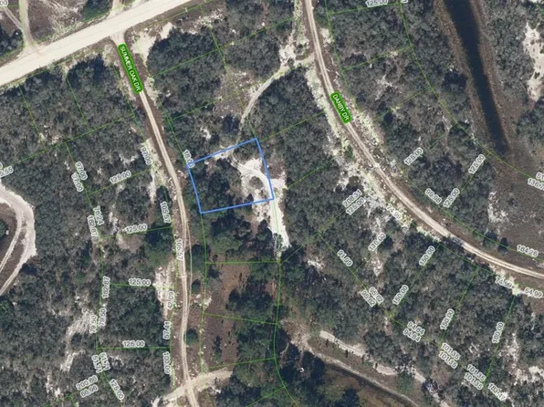 131 Summer Oak Dr, Lake Placid, FL 33852