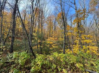 Wagner Lake Rd, Iron River, MI 49935