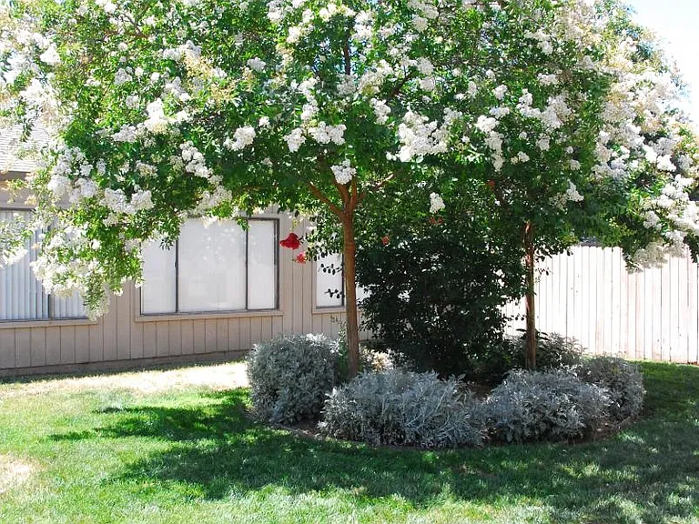 Exterior 6