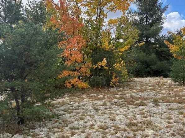 2805 Tag Alder Trl, Gaylord, MI 49735
