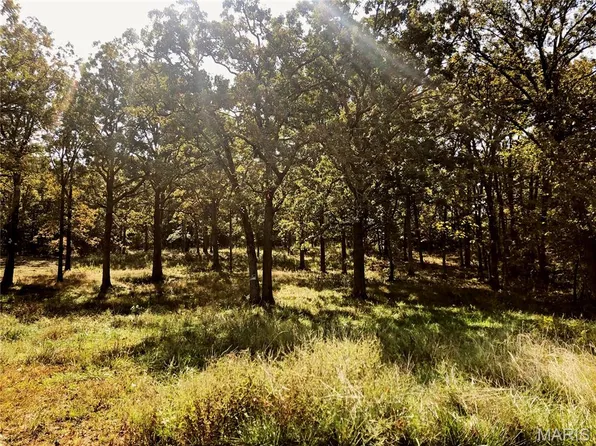 10240 County Road 3060, Rolla, MO 65401