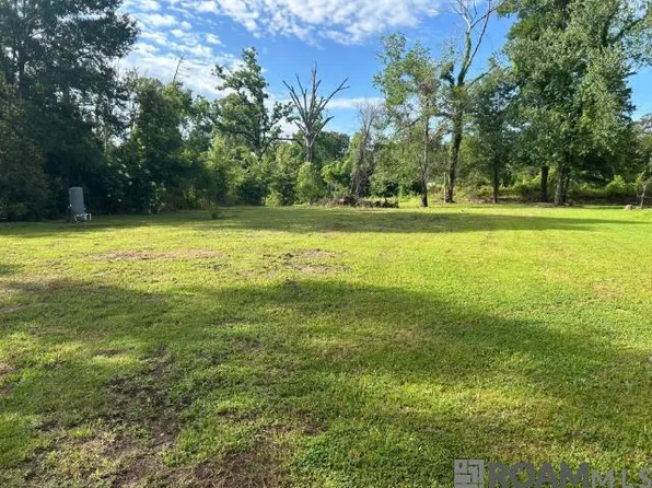 18376 Leo Causey Rd, Prairieville, LA 70769