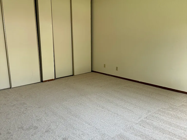 4497 Snowberry Ct — Photo 15