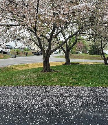 3rd image of 6105 Taverneer Ln