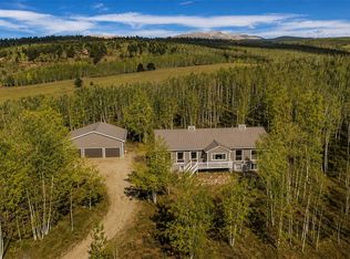 331 Canthook Lane, Fairplay, CO 80440