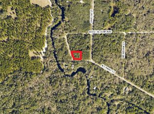 7478 N Canal St, Webster, FL 33597