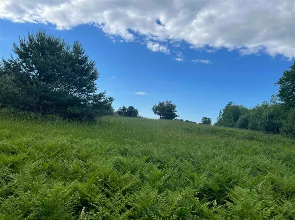 Church Rd, Ellsworth, MI 49729