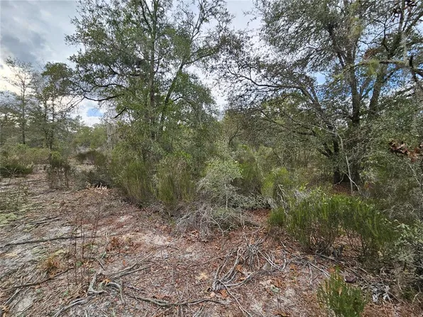 10350 NE 97th Pl Lot 174, Archer, FL 32618