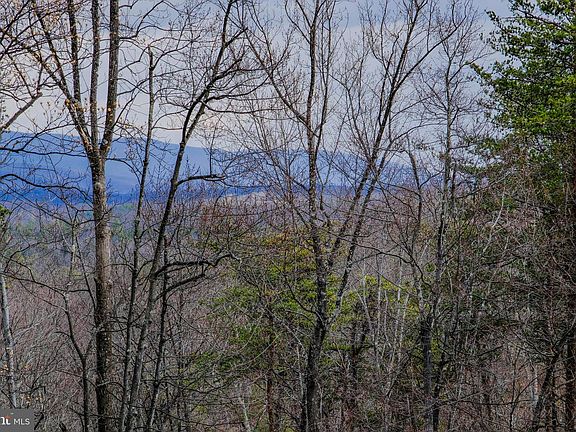 2nd image of 642 Paddys Run Rd