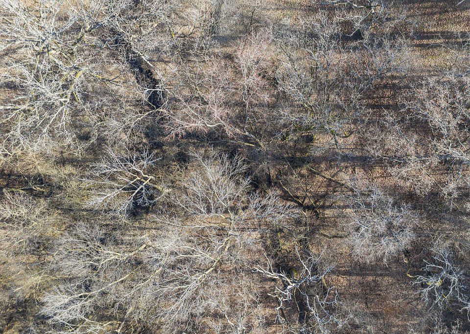 2nd image of 4222 E 2551st Rd