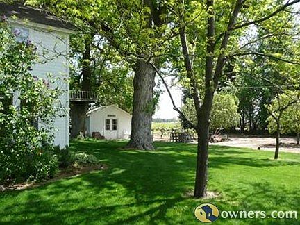 Side yard with garden shed