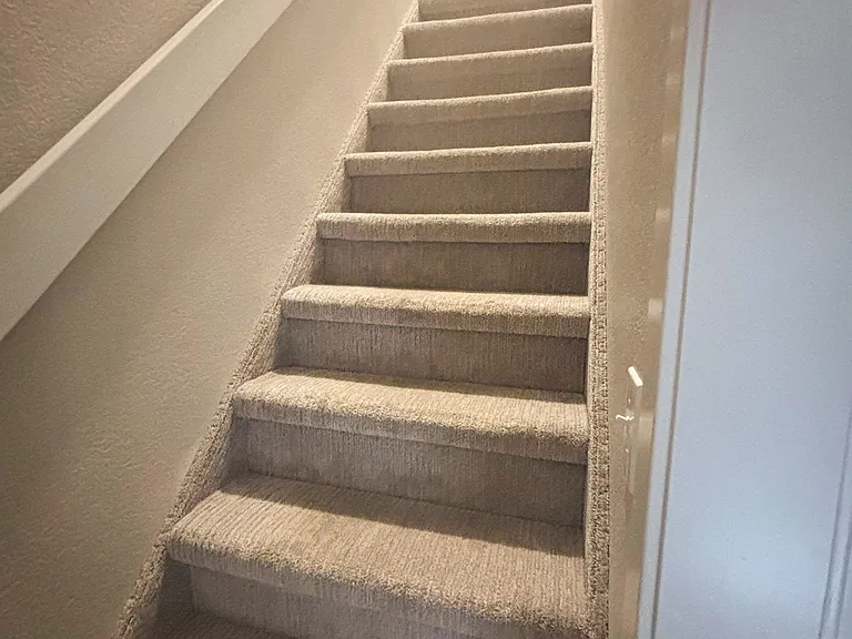 Bonfoy Avenue Level — Photo 9