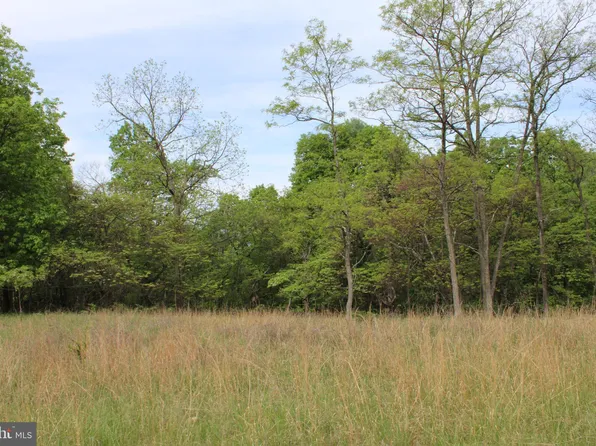 LOT 39 High Vw, Purgitsville, WV 26852