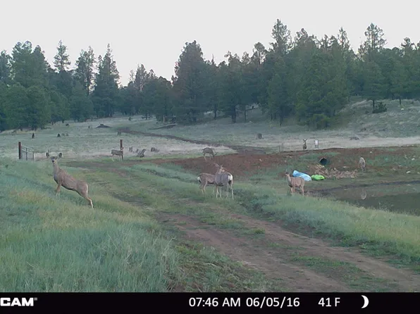 5356 Stonehouse Dr, Flagstaff, AZ 86005