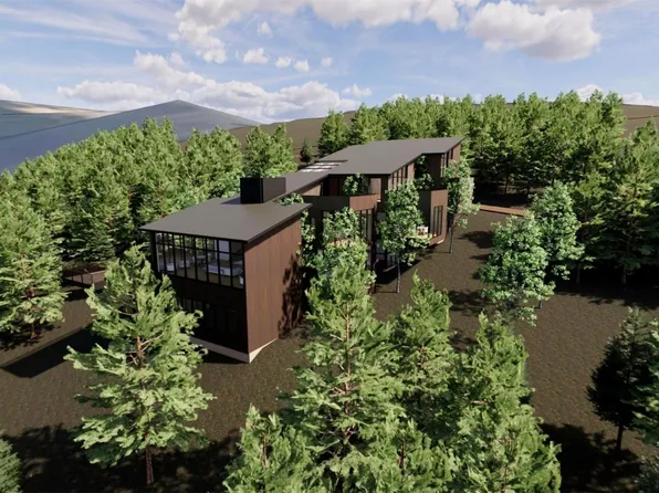 653 Summit Gulch Road, Breckenridge, CO 80424