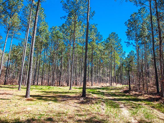 4th image of 00 Mt. Zion Road