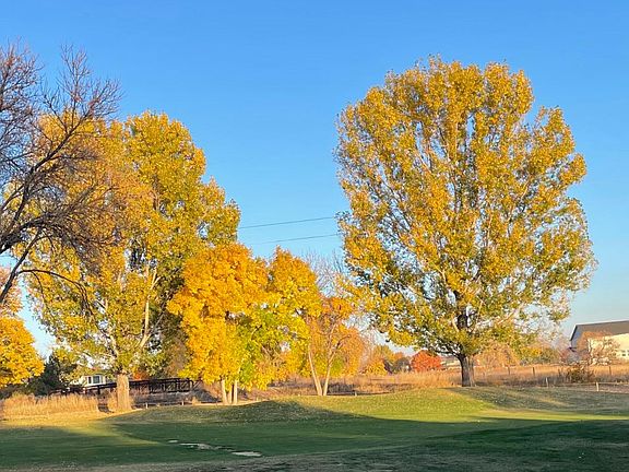 Fall View from Deck