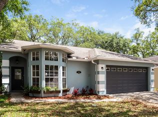 4020 Fontana Pl, Valrico, FL 33596