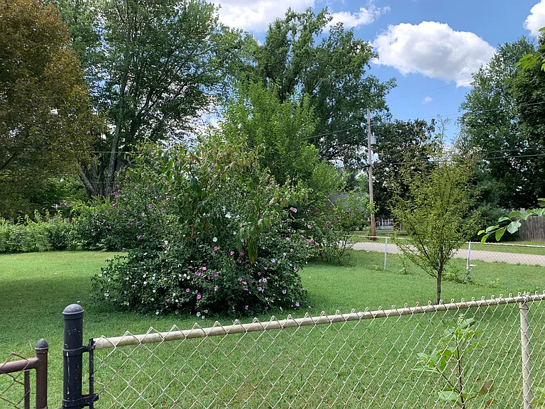 1116 Springview Dr — Photo 17