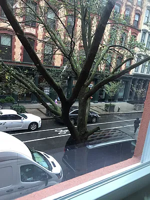 Rented by Carol Quatrone | media 18