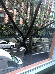 Rented by Carol Quatrone