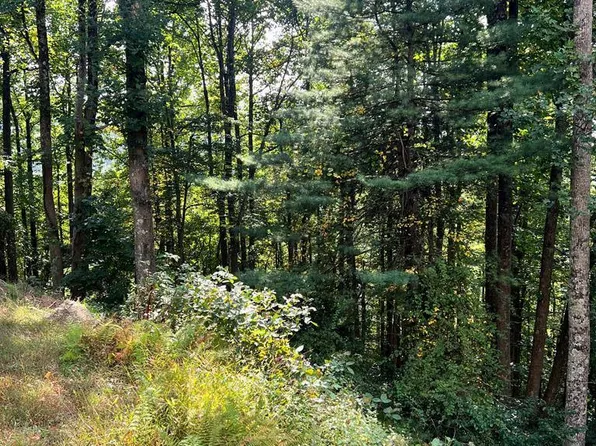 Tbd Chalet Dr, Fancy Gap, VA 24328